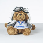 TEDDY BEAR Pilot